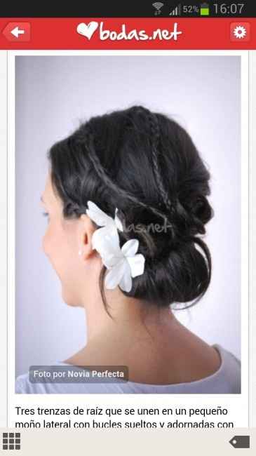 Recogidos con trenza - 2