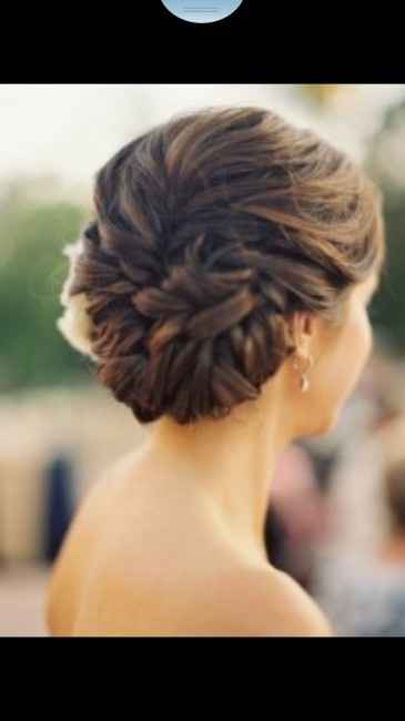 Recogidos con trenza - 8