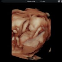 Mamis Abril 2020 (nuevo) - 1