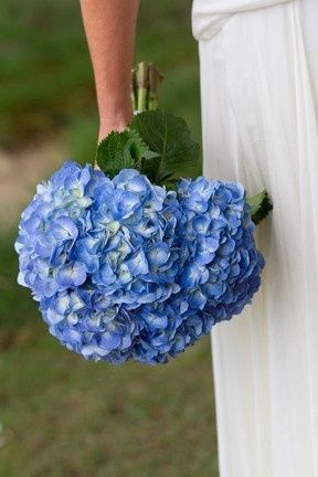 Ramo azul 2