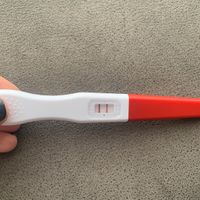 Buscadoras Enero 2021 🌼💞🤰🏼 - 1