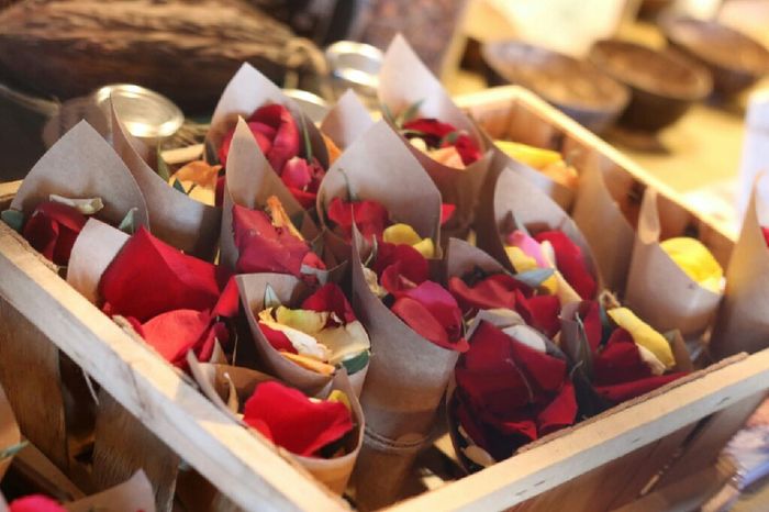 Salida novios con hojas de olivo 4