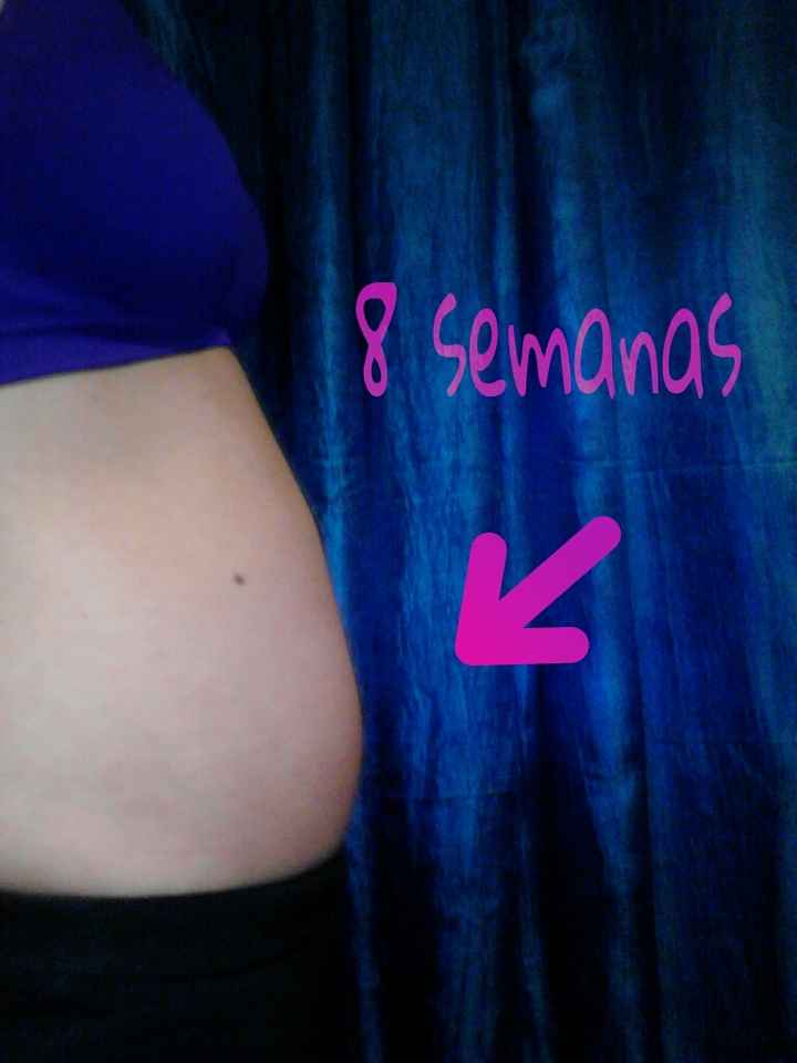 8 semanitas