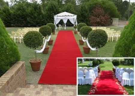 alfombra y plantas