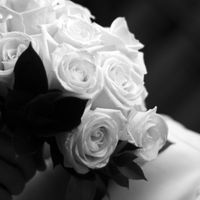 Recomedacion de floristería en Zaragoza? - 1