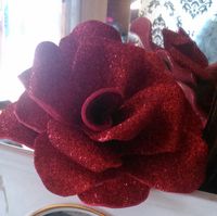 Mis rositas - 1