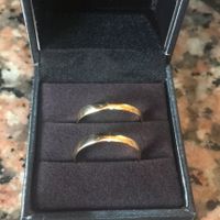 Nuestras Alianzas - 1