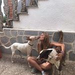 Rodri