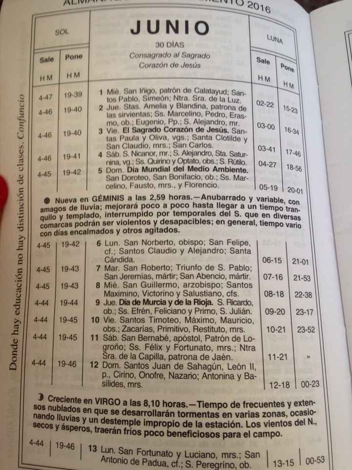 Bodas 2016 - 1