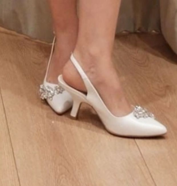 Ya vienen mis zapatos! - 1