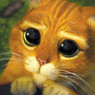 Miren