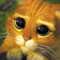 Miren