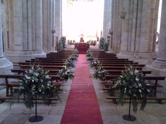 catedral vieja flores