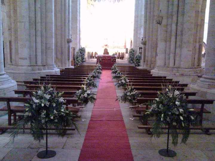 catedral vieja flores