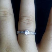 Pongamos todas nuestro anillo de compromiso - 1