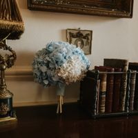 Opiniones Molua eventos - 1