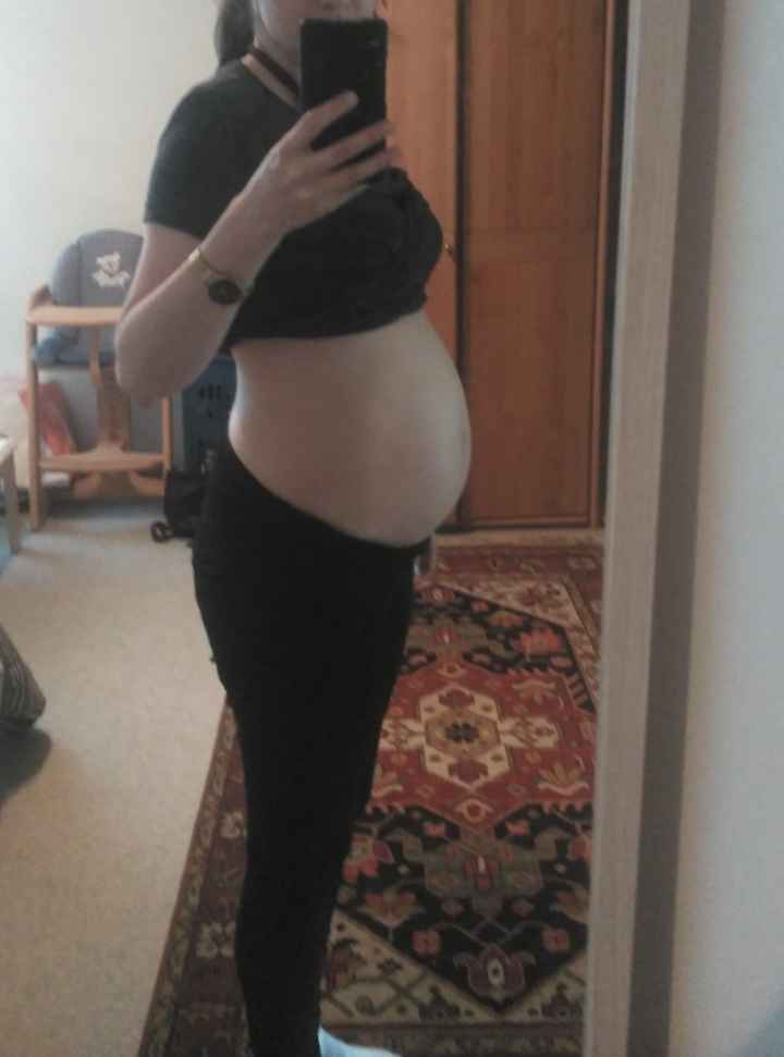 barriga 24 semanas