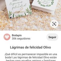 Lágrimas de felicidad - Help - 1