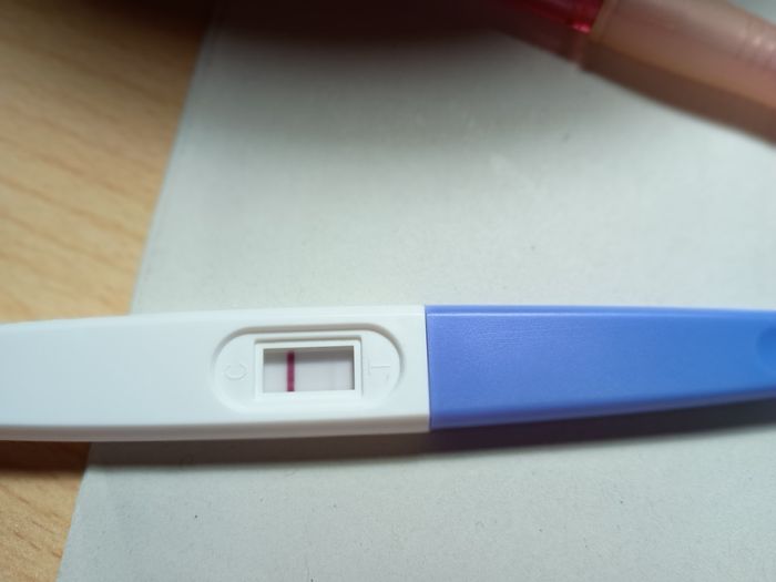 ❄️☃️ Buscadoras Enero 2026 ☃️❄️ - 1