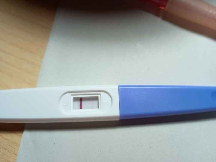 ❄️☃️ Buscadoras Enero 2026 ☃️❄️ - 1