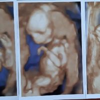 Mamas Febrero 2020 - 1