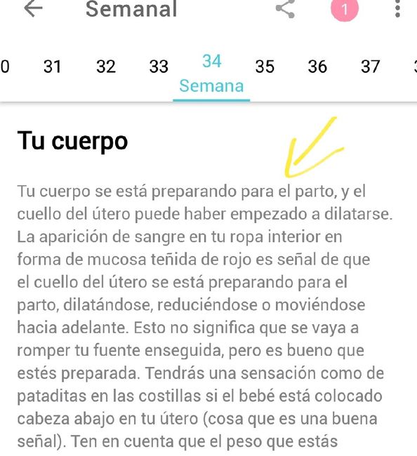 Futuras mamas octubre 2020 1