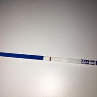 test embarazo