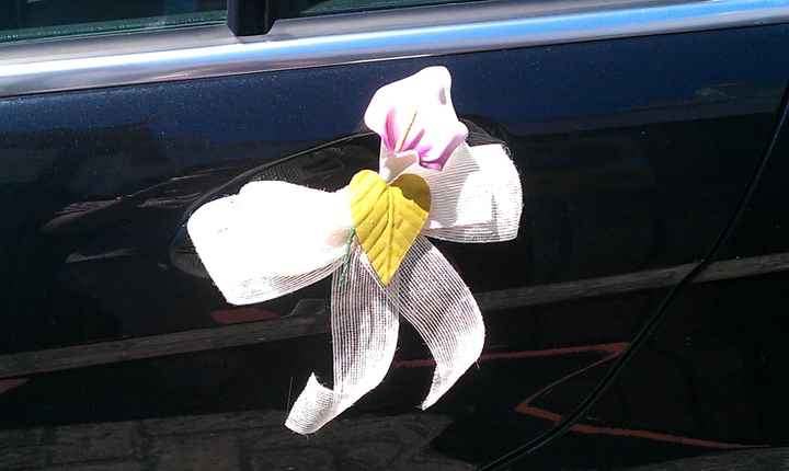 Los lazos del coche