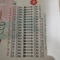 Grupo de apoyo para buscadoras eternas - 1