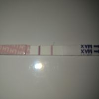 Grupo de apoyo para buscadoras eternas (nuevo) - 2