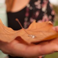 Preboda