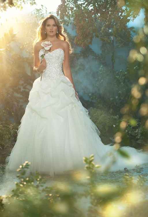 alfred angelo