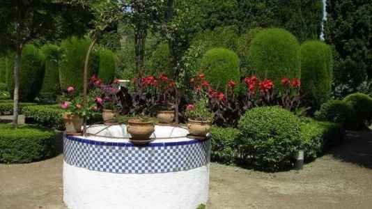 Jardín de invierno: aquí es el coctail :3