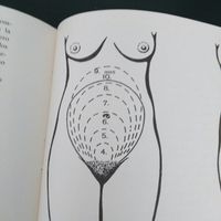 Futuras mamás Diciembre 2018 - 1