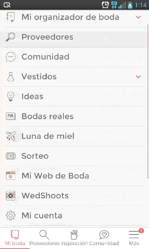  Mi web de boda y Wedshoots - 1