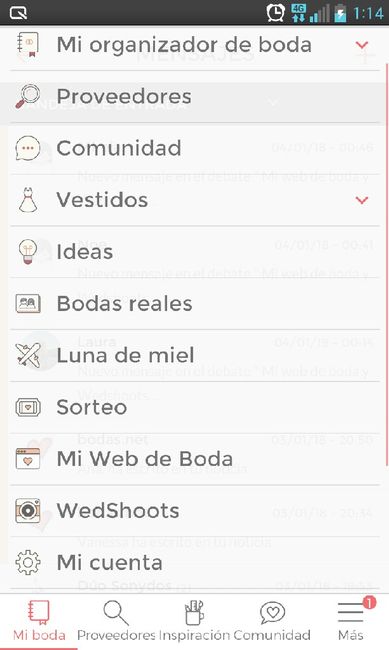  Mi web de boda y Wedshoots - 1