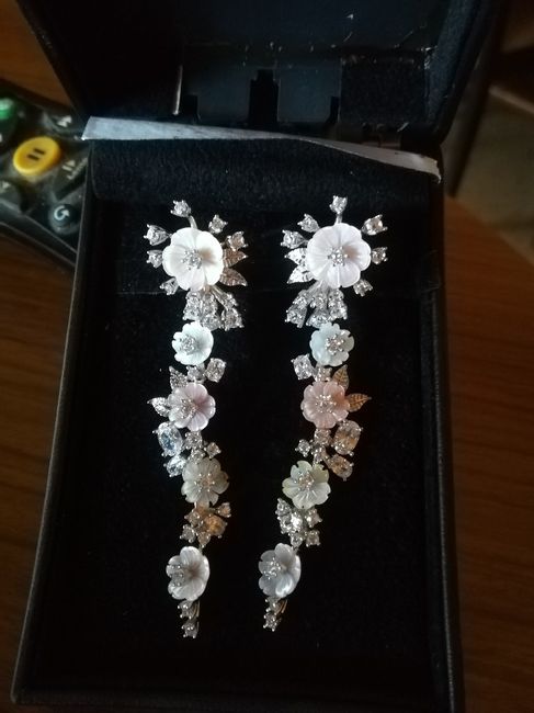 Pendientes largos? - 1