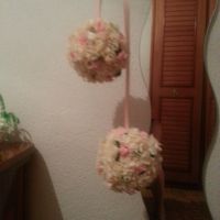 mi ramo