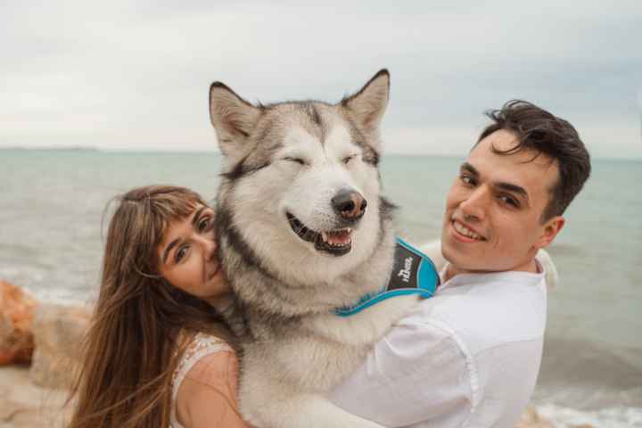 Fotos preboda - 1