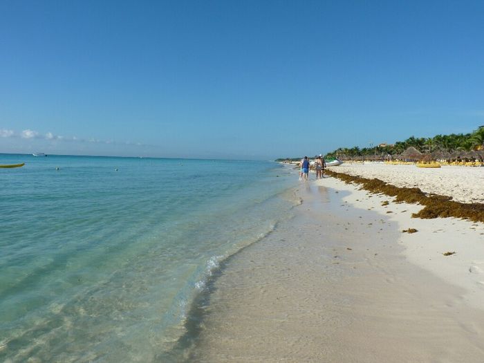 Rivera maya 2016 - 2