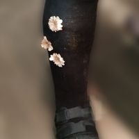 Nuevo "complemento" - 1