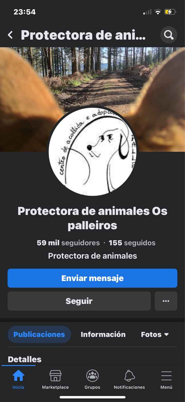 Regalo solidario Pontevedra - 1