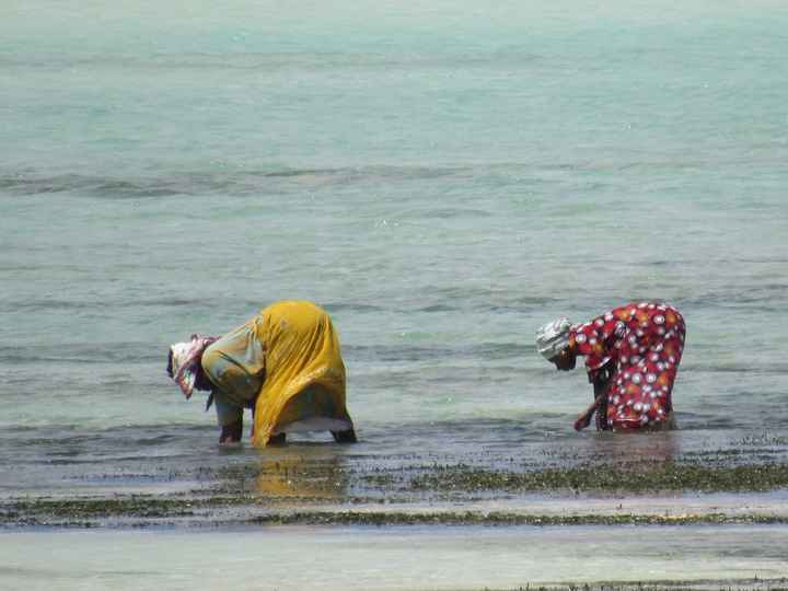 Mar Zanzibar