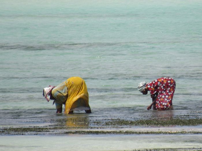 Mar Zanzibar