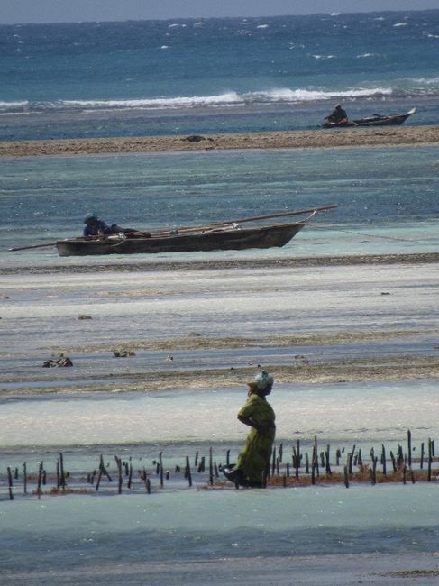 Mar Zanzibar