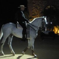 ESPECTACULO DE CABALLOS!!