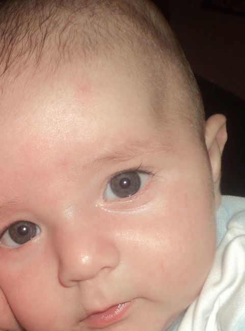 Mi chiquitin