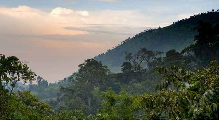 Primera parada: Uganda