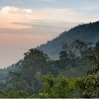Primera parada: Uganda
