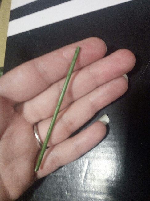 Tutorial ramo artificial diy - 4